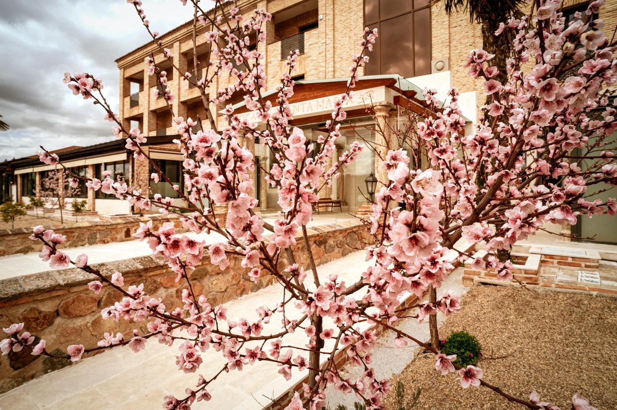 Hotel Cigarral Santa Maria Toledo Exterior foto